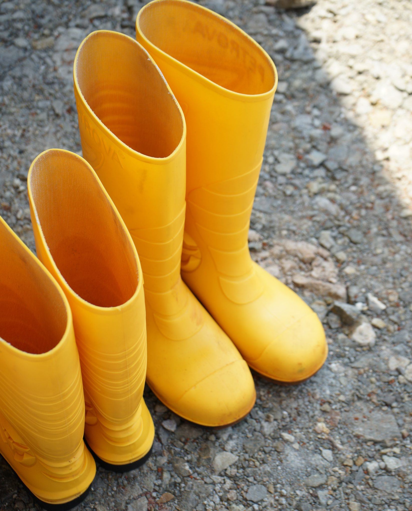 Wellington Boots